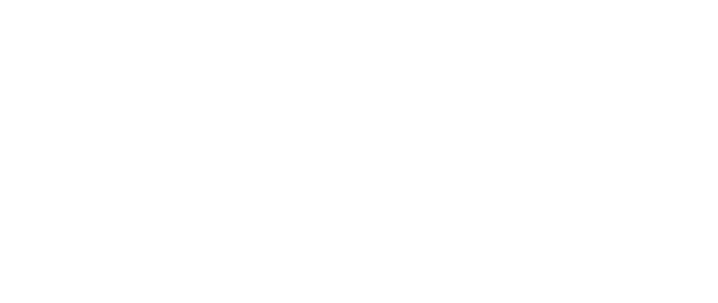 Silver Ostrich — Way of Living